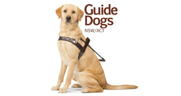 Guide-Dogs_NEW