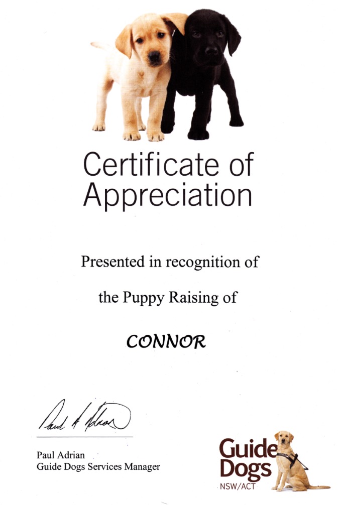 Connor Certificate of Appreciation
